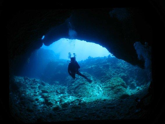 中天科技：海缆业务加速发展，23Q4两次员工股份回购